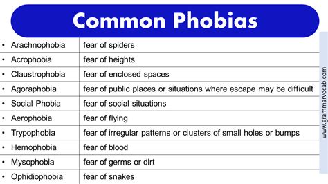 List of Phobias: Funny Phobias - Rarest Phobias -Weird Phobias | PDF ...