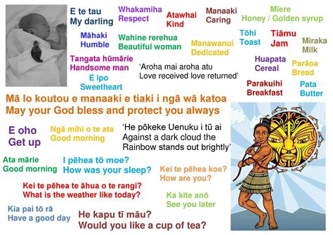 Common Maori Classroom Phrases Charts Maori Posters Te Reo Maori | Hot ...