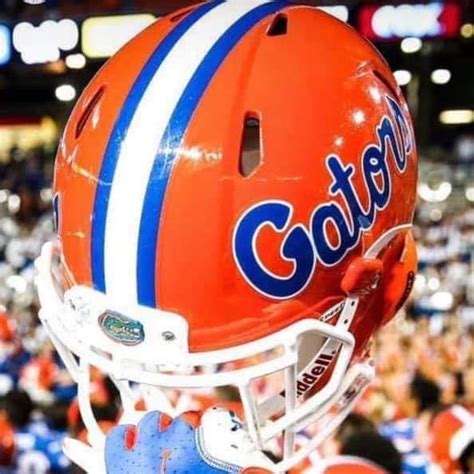 Florida Gators 🐊 | Football helmets, Florida gators, Gator