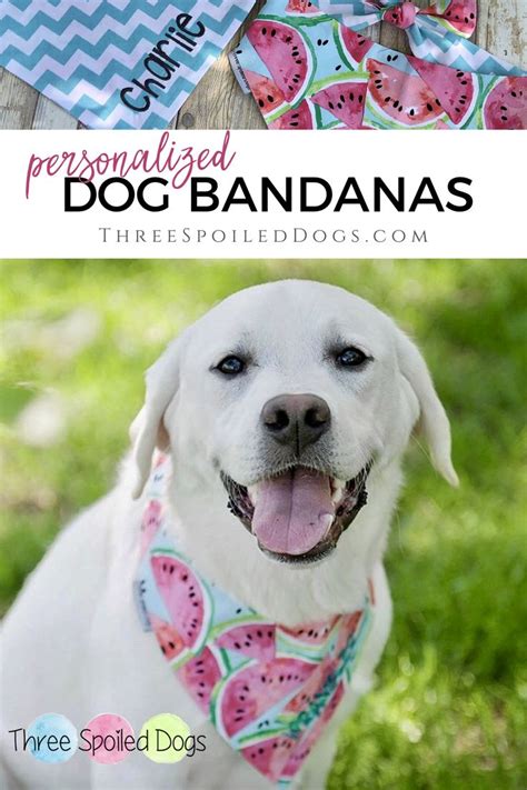 Personalized Dog Bandanas | Best dog gifts, Spoiled dogs, Personalized ...