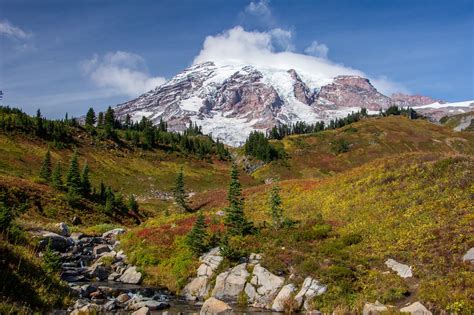 3 Easy Hikes in Mount Rainier National Park — Hiking for Donuts