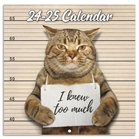 2025 Wall Calendar - JAN. 2025 - DEC. 2025, Funny Cat Calendar 2025, 12 ...