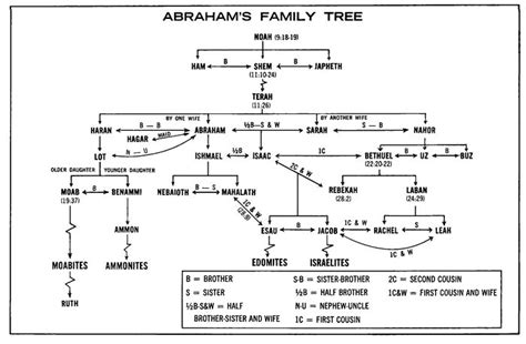 Abraham&s Family Tree | Abrahams family tree, Bible family tree, Bible ...