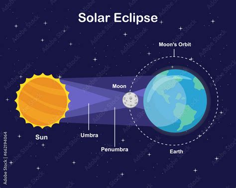 Diagram showing solar eclipse Sun Earth and Moon vector infographic ...