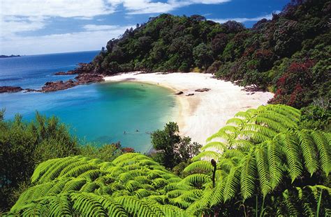 Northland » Planit NZ Travel