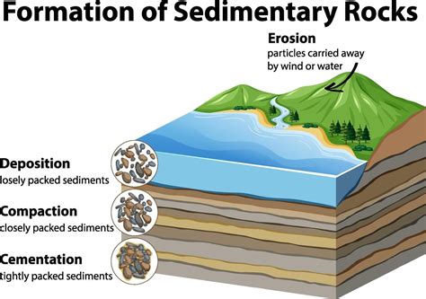 Formation of sedimentary rocks 3426736 Vector Art at Vecteezy