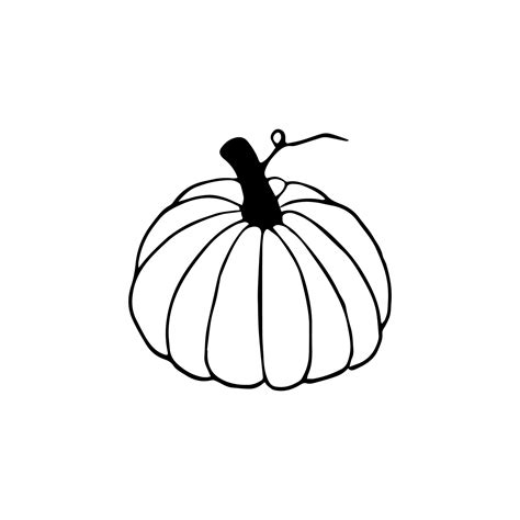 Hand drawn doodle pumpkin clipart. Vector black and white pumpkin for ...