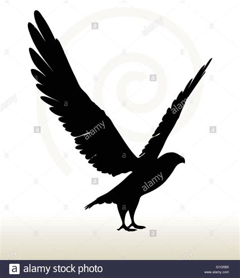 Golden Eagle Silhouette at GetDrawings | Free download