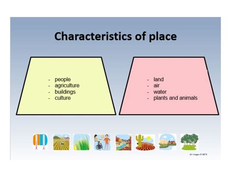 Human and Environmental Characteristics Diagram | Quizlet