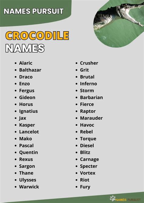 Crocodile Names [600+ Cool, Cute, & Unique Ideas]