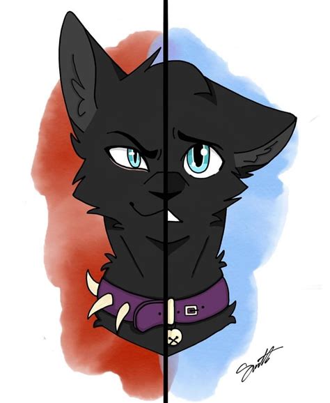 how to draw scourge the cat - howtodoeyelinernaturalsimple