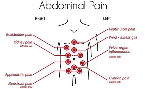 Abdominal Pain: Causes, Symptoms, Treatment, When to See Doctor