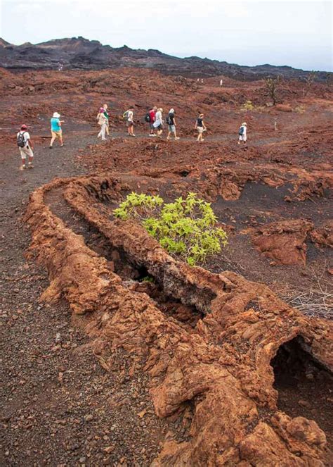 21 Galapagos Islands Volcanoes (Active, Dormant, Location Chart ...