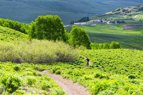 17 Solo Hiking Trips to Take for Solo Travelers - She's Catching Flights