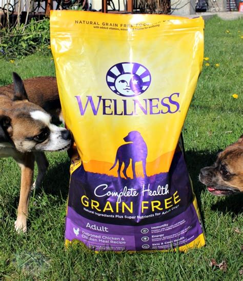 Grain Free Dog Food for Better Health | A Magical Mess