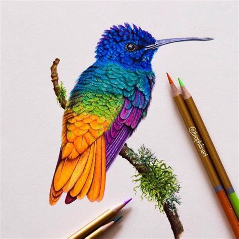 Brightly Colored Animal Pencil Drawings | Color pencil art, Pencil ...