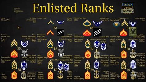 Army Enlisted Ranks And Pay 2024