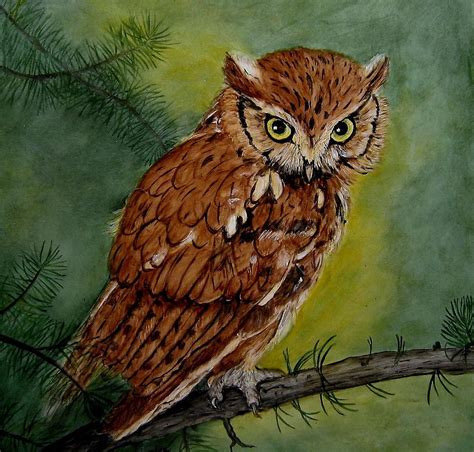 Screech Owl Painting by Sandra Maddox