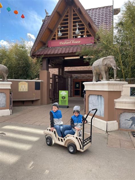 two young boys are riding in a toy car at the entrance to an amusement park