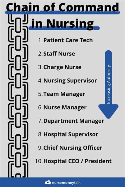 What is the Chain of Command in Nursing? [Chart Included] - Nurse Money ...