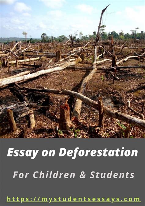 Essay on Deforestation For Students | Causes & Effects of Cutting Trees