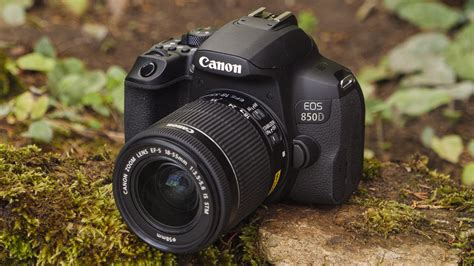 Best beginner DSLRs for 2024: top cameras for new photographers | TechRadar