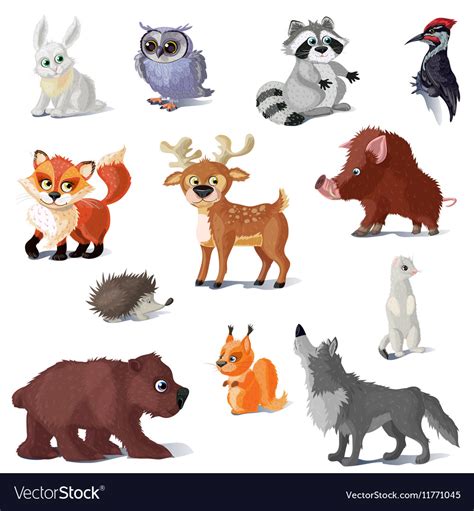 Cartoon forest animals set Royalty Free Vector Image