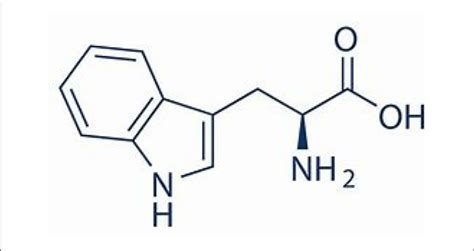 | Chemical structure of L-tryptophan. | Download Scientific Diagram