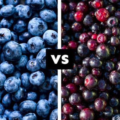 Blueberry Vs. Huckleberry: What's The Difference? | Live Eat Learn