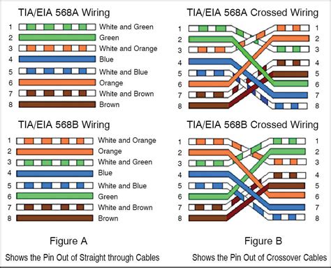 Cat 6 Cable Wiring Order Color Ethernet Wiring Guides T568b