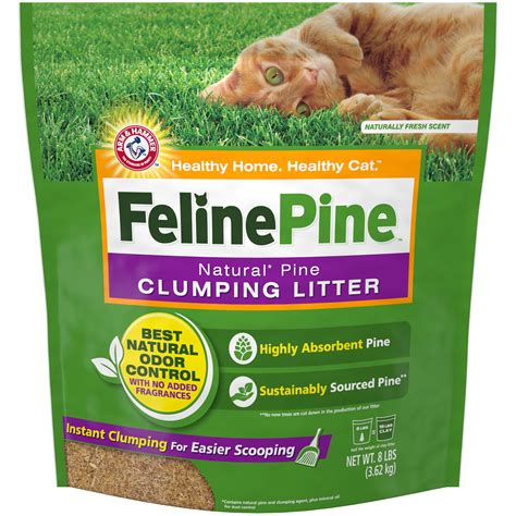 Feline Pine Cat Litter Target - Cat Meme Stock Pictures and Photos