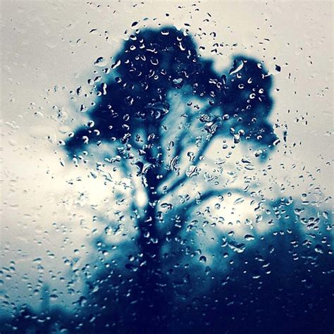 13 Creative iPhone Photography Projects For A Rainy Day