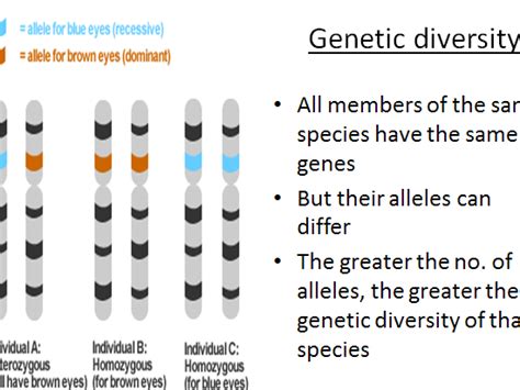 Genetic Diversity | Teaching Resources