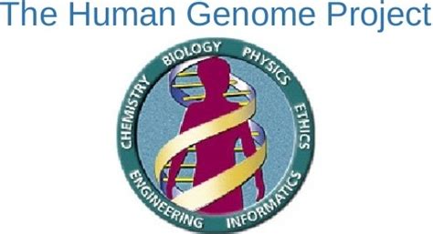 Human genome project | Science online