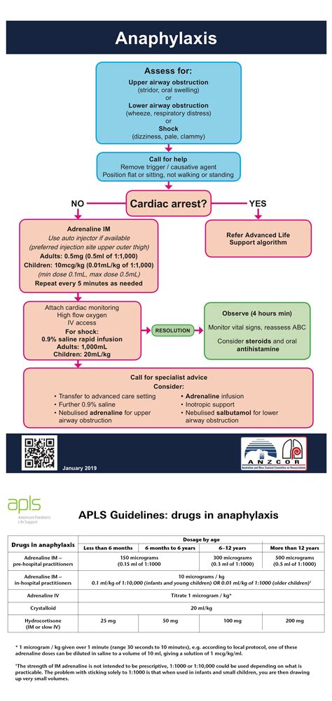 Algorithms | Anaphylaxis