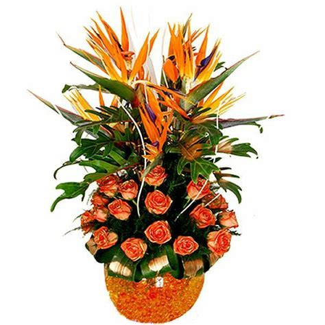 Buy/Send Paradise Online | FloraIndia