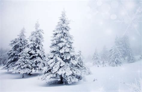 Winterscapes Wallpapers - Wallpaper Cave