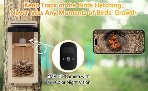 Amazon.com: Bird House with Camera - Solar Powered Birdhouse Camera ...