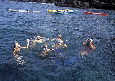 Snorkeling - Maui | Maui snorkeling, Sightseeing, Snorkeling