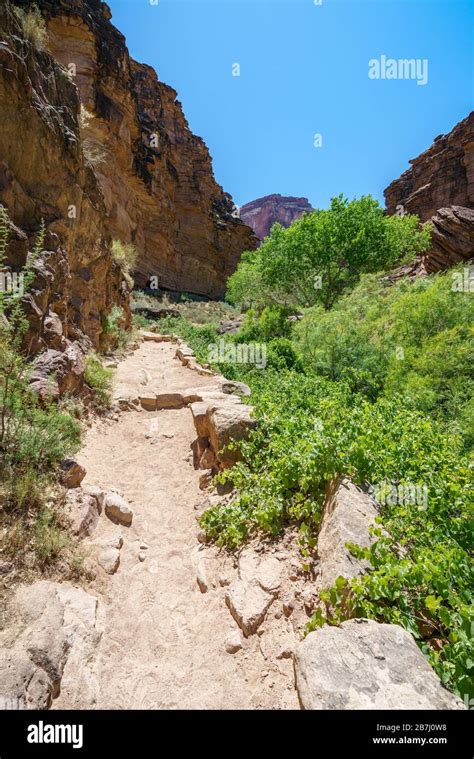 hiking through indian garden on bright angel trail in grand canyon ...