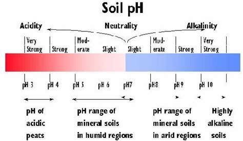 Soil pH | NDSU Agriculture