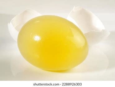 562 Egg White Membrane Images, Stock Photos & Vectors | Shutterstock