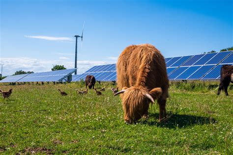 Environmental Impacts of Community Solar Farms