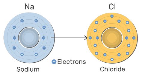 Ions - Cations and Anions | GetBodySmart