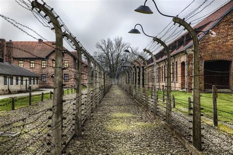 2023 Auschwitz-Birkenau Guided Tour from Krakow Premium