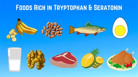 Tryptophan: Benefits, Side Effects and 7 Foods – Tense Health