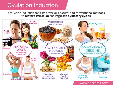 Ovulation Induction | SheCares