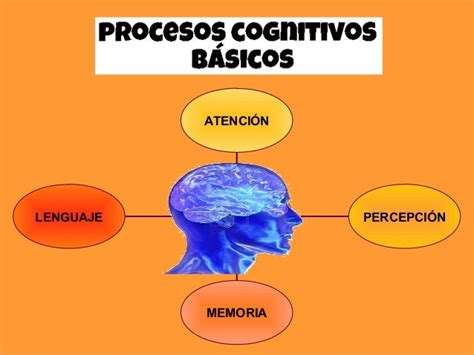 Procesos Cognitivos