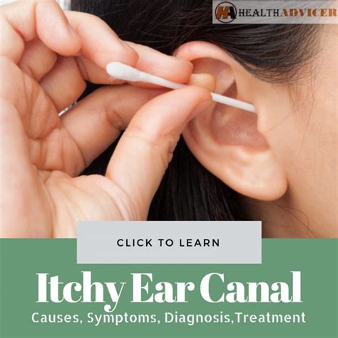 Itchy Ear Canal: Causes, Picture, Symptoms, And Treatment