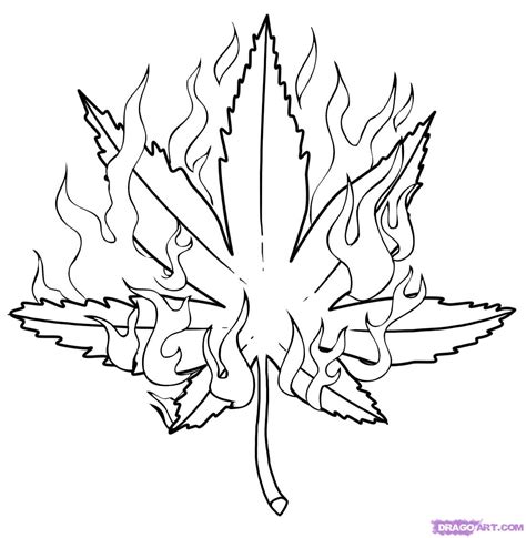 Free Pot Leaf Drawing, Download Free Pot Leaf Drawing png images, Free ...